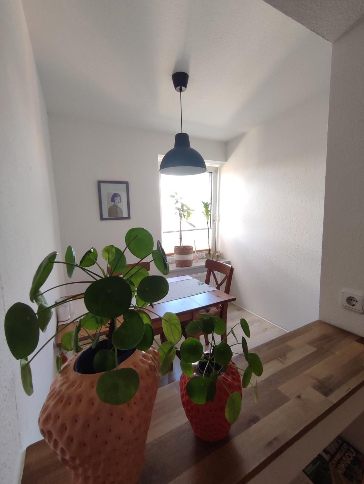 58- Ruhr Nah Apartment